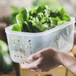 Frigosmart de 4,4 Litros de Tupperware