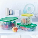 Frigosmart de 4,4 Litros de Tupperware