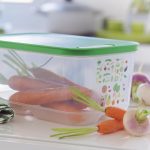 Frigosmart de 4,4 Litros de Tupperware