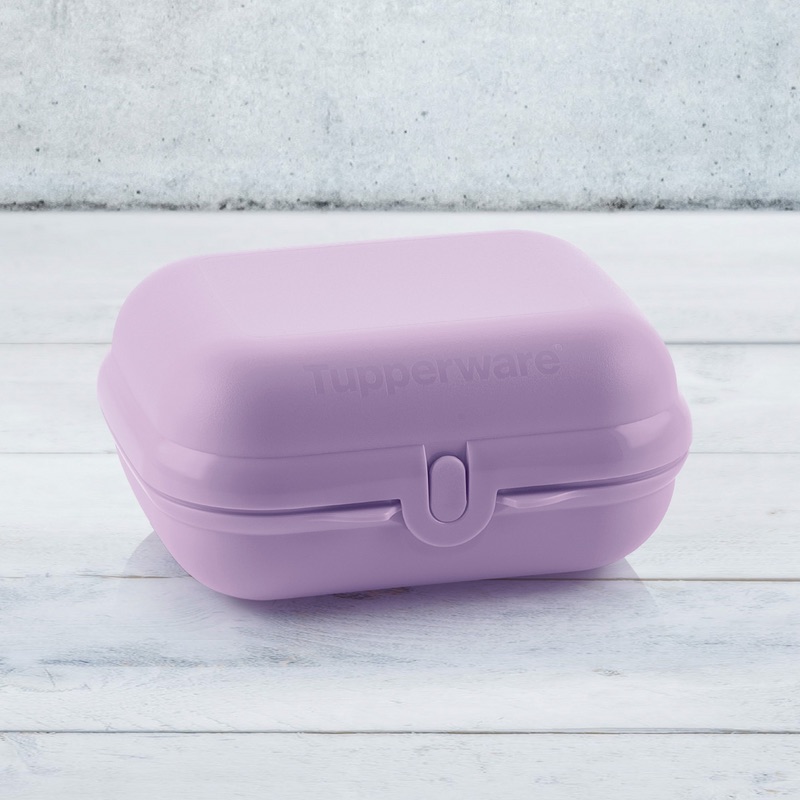 Foto del Eco Cofre Mediano de Tupperware