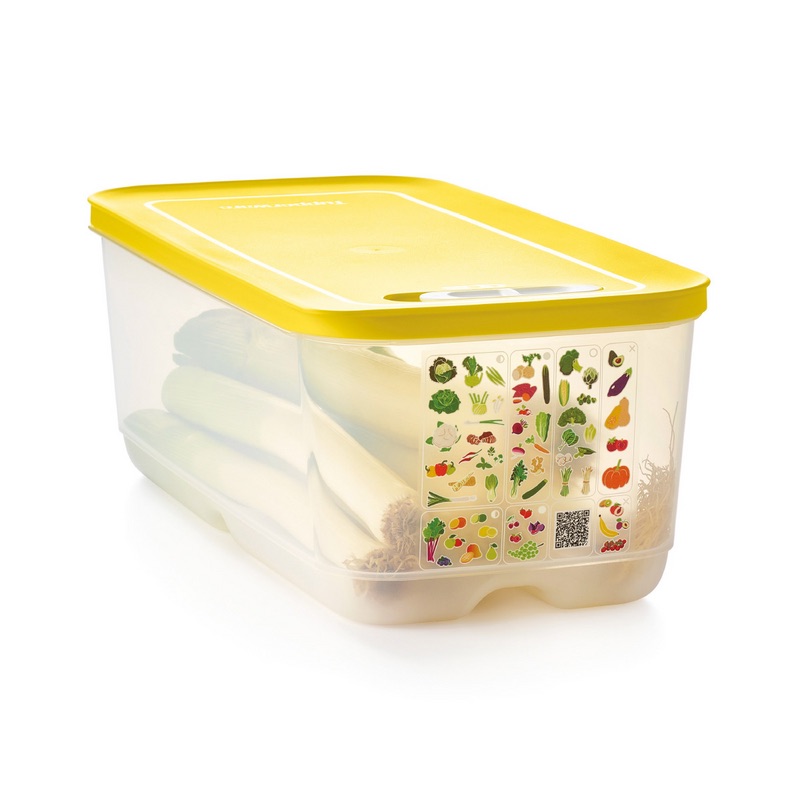 Foto del Frigosmart 6,1 Litros de Tupperware