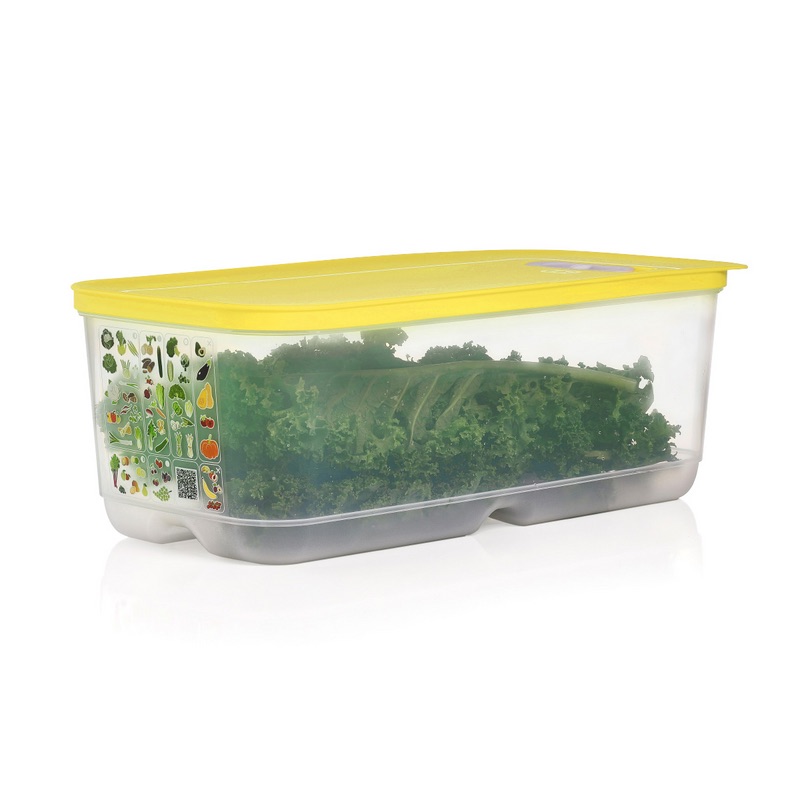 Foto del Frigosmart 6,1 Litros de Tupperware